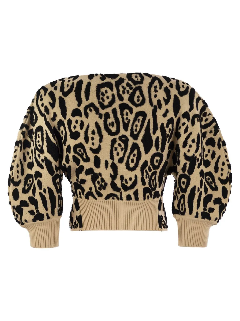Leopard Print Cropped Sweater