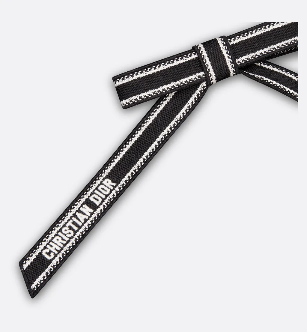 Christian Dior Embroidered Dior Twist Bow