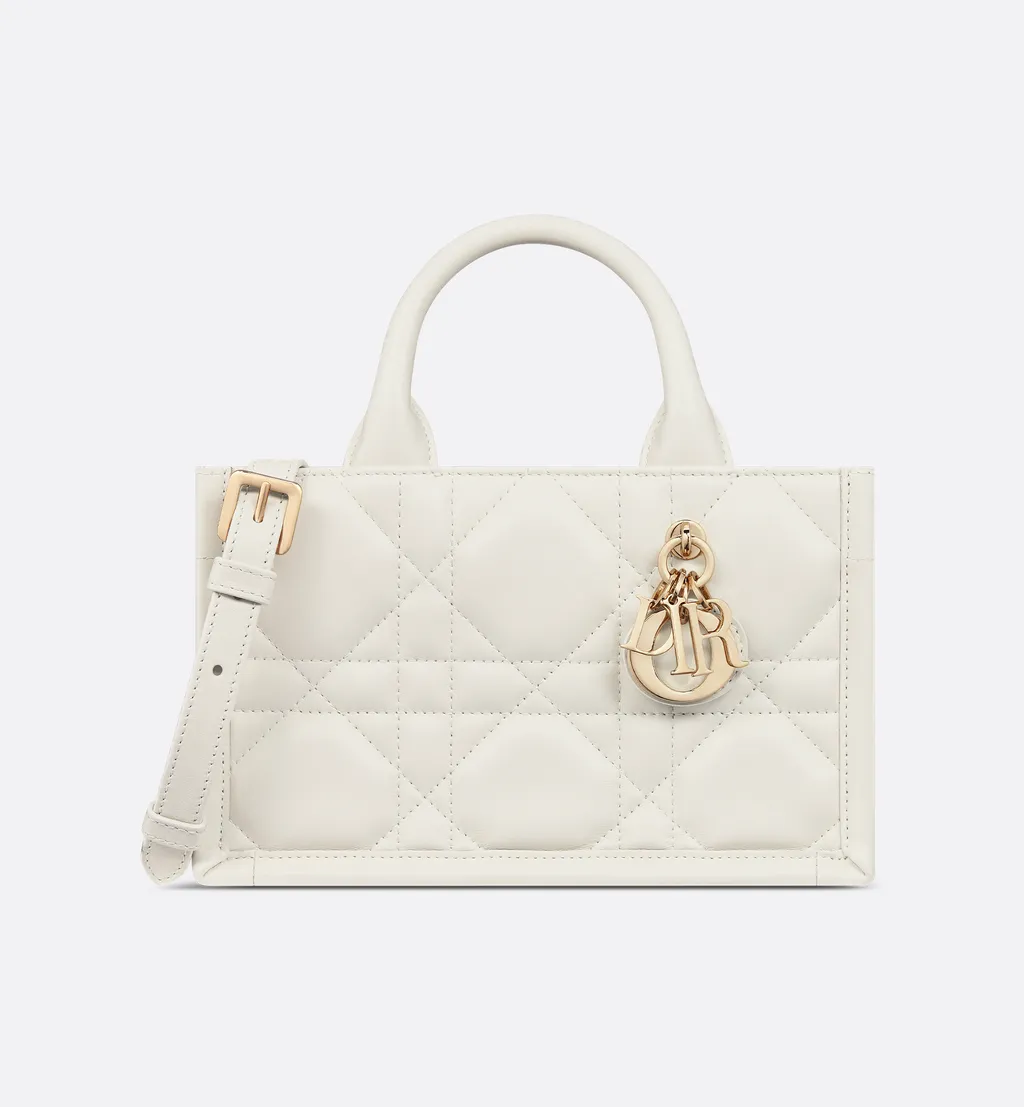 Mini Dior Book Tote