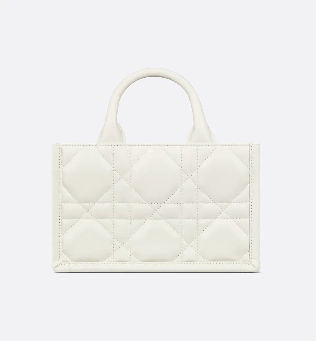 Mini Dior Book Tote