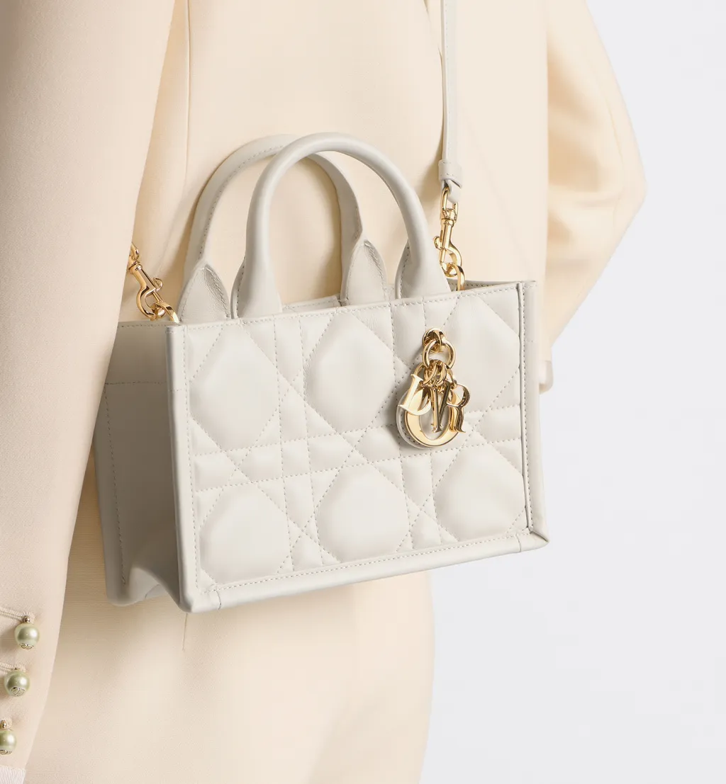 Mini Dior Book Tote