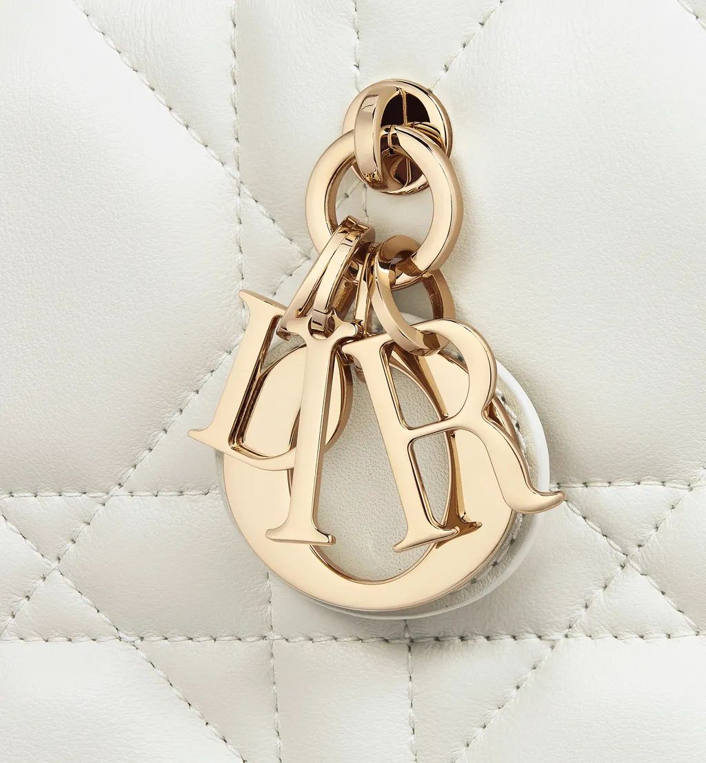 Mini Dior Book Tote