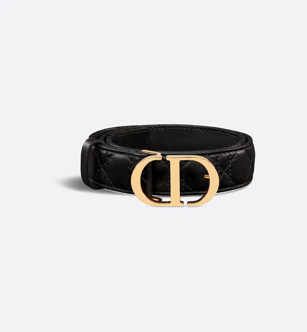 30 Montaigne Belt