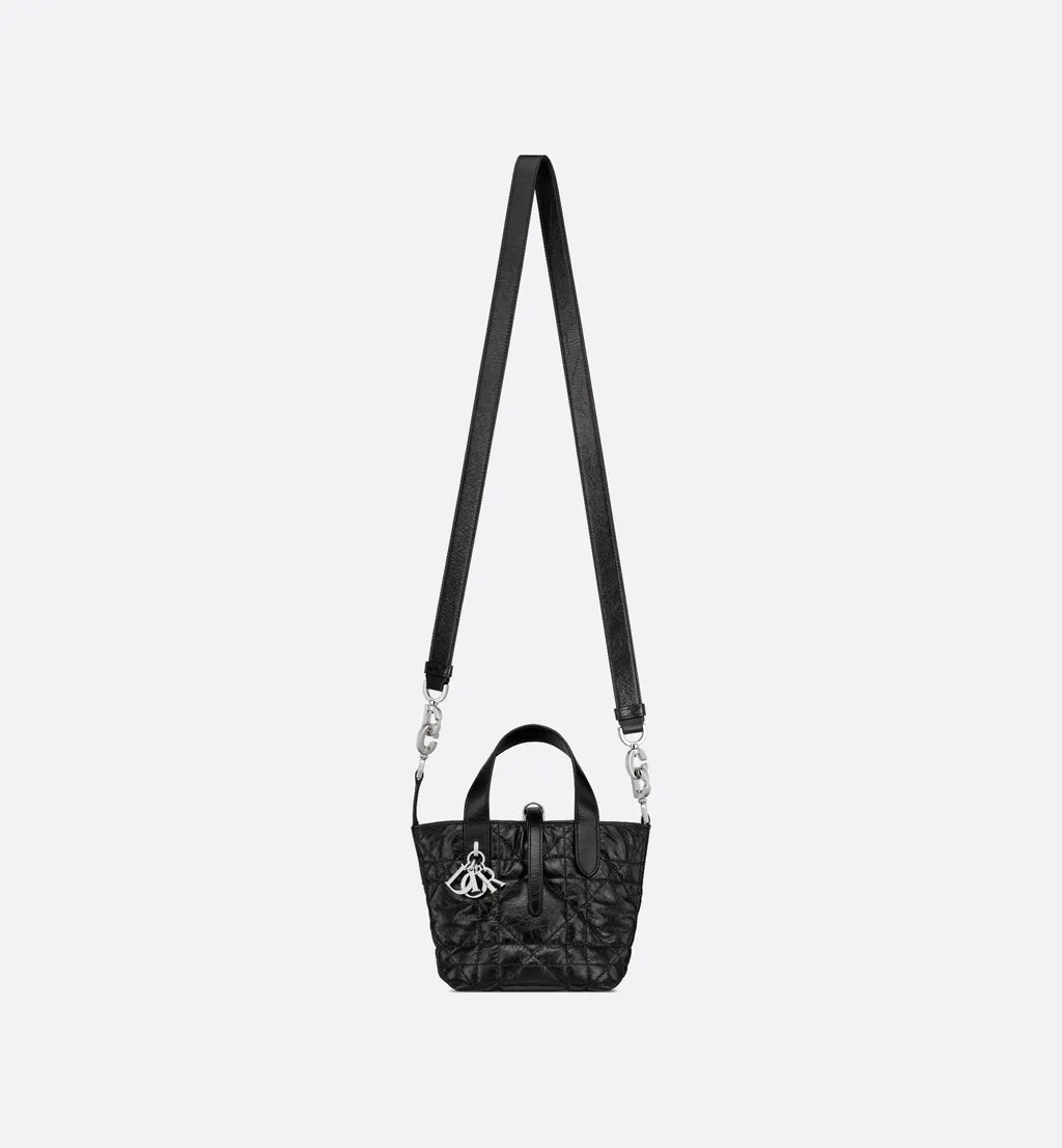 Dior Toujours Vertical Nano Tote Bag