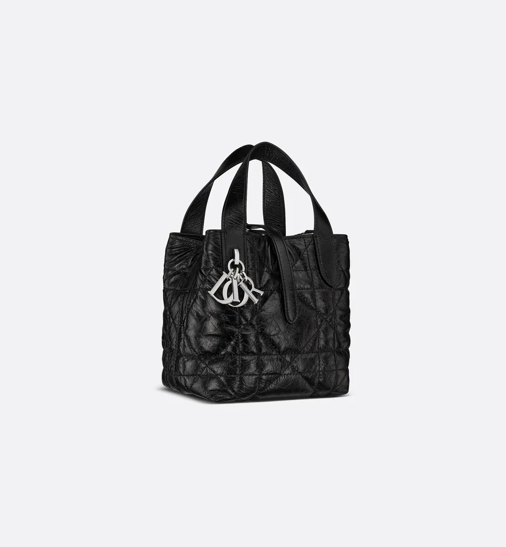 Dior Toujours Vertical Nano Tote Bag