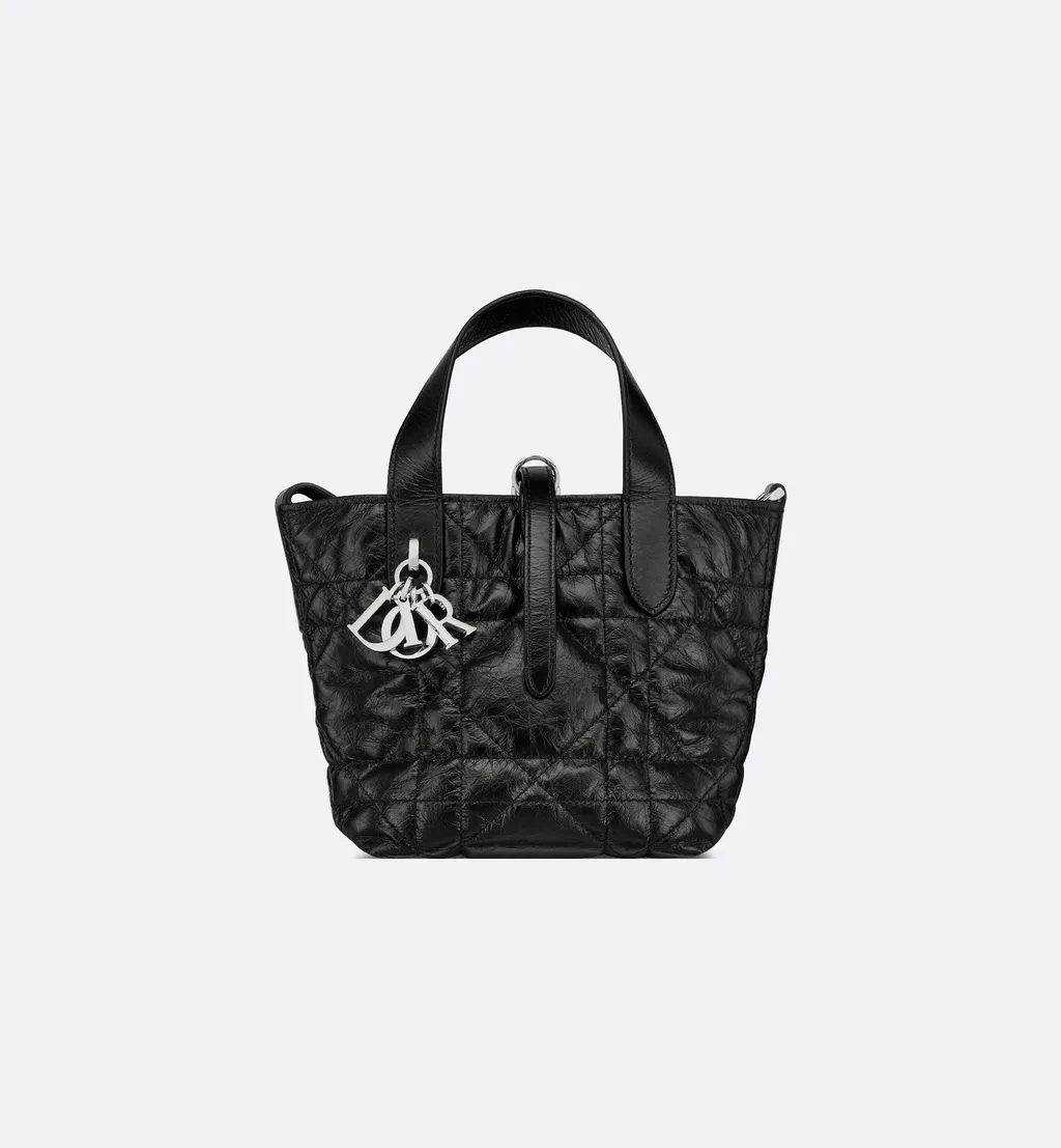 Dior Toujours Vertical Nano Tote Bag