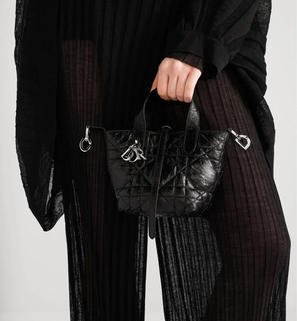 Dior Toujours Vertical Nano Tote Bag