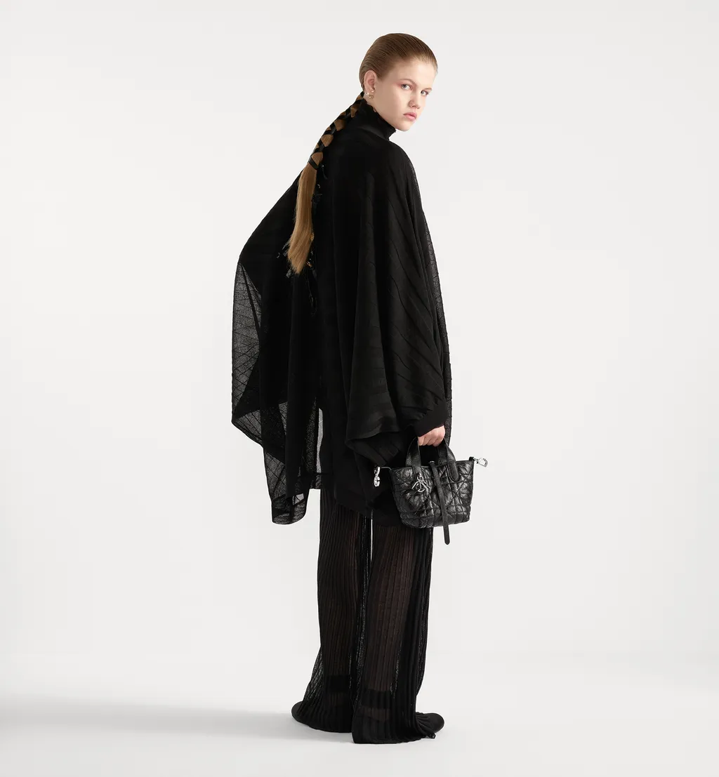 Dior Toujours Vertical Nano Tote Bag
