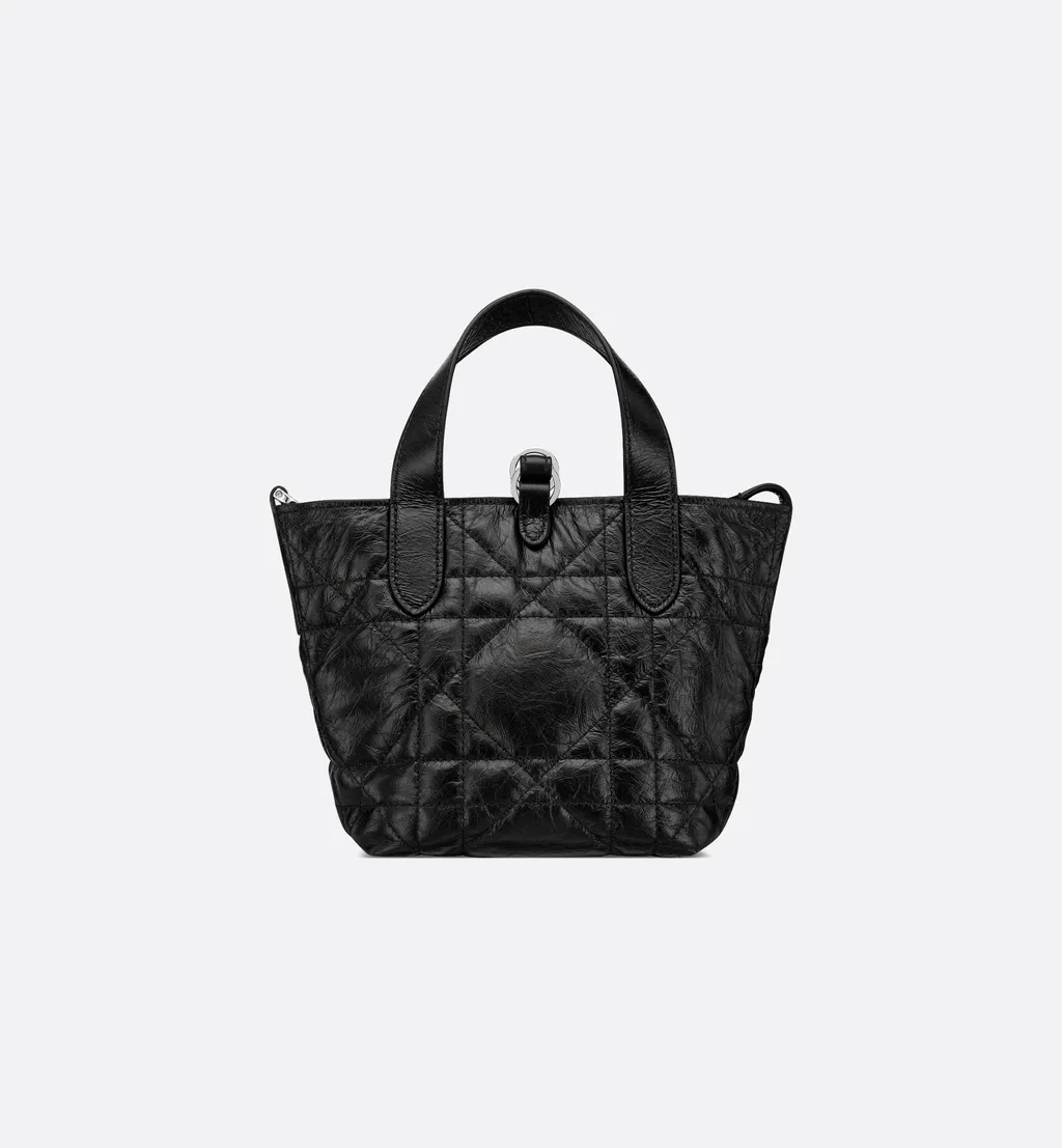 Dior Toujours Vertical Nano Tote Bag