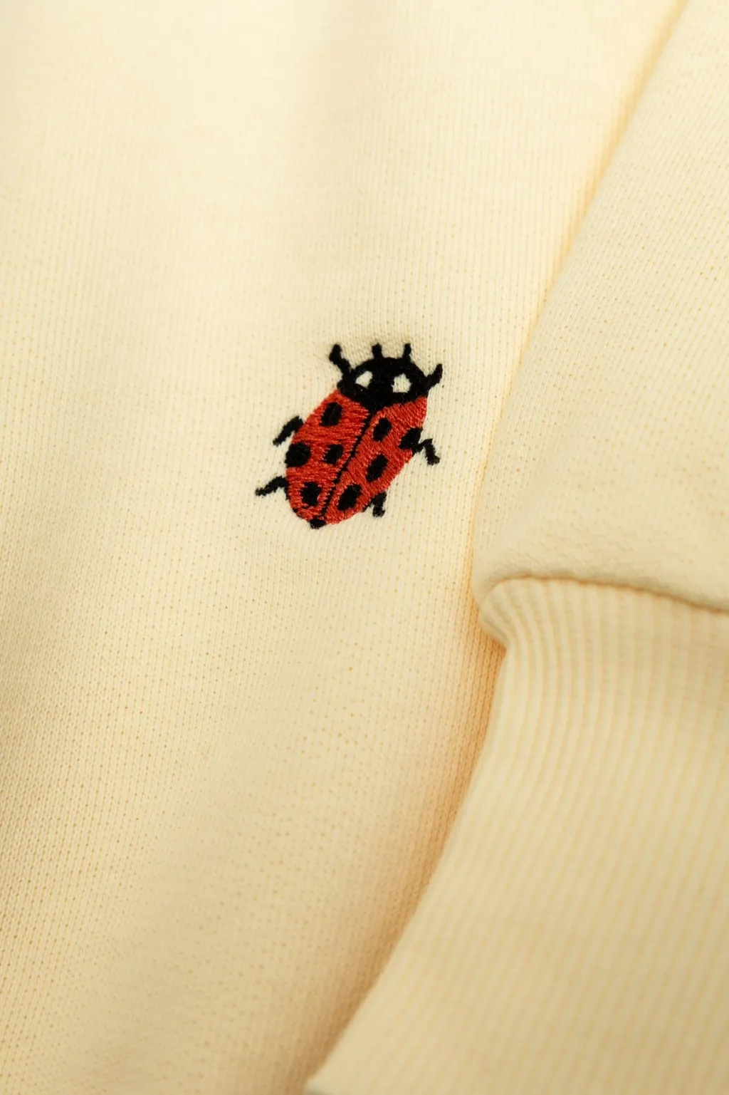 Mini Rodini Ladybug Embroidered Lace Detailed Jumper