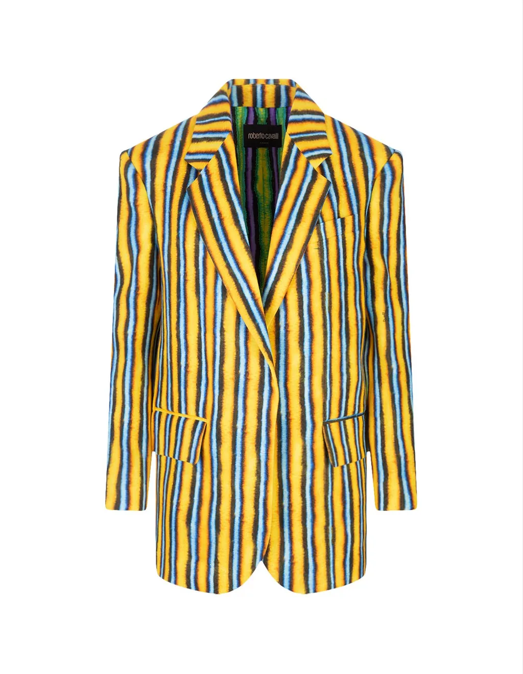 Roberto Cavalli Baidera Print Jacket