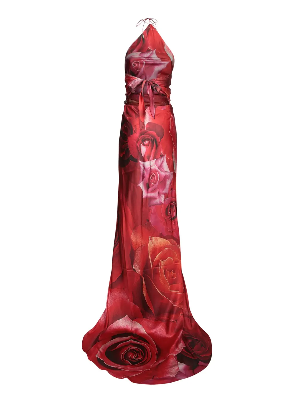 Roberto Cavalli Garden Rose-Printed Halterneck Maxi Dress