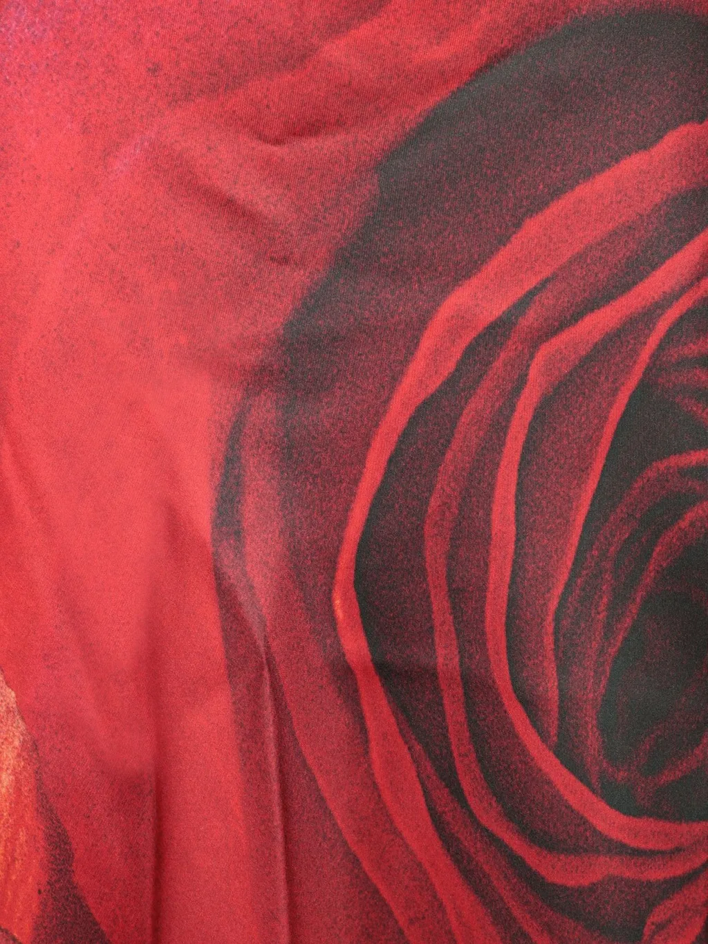 Roberto Cavalli Garden Rose-Printed Halterneck Maxi Dress