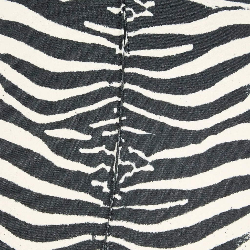Roberto Cavalli Zebra-Printed Leggings