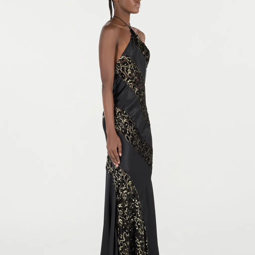 Roberto Cavalli See-Through Leopard Dress