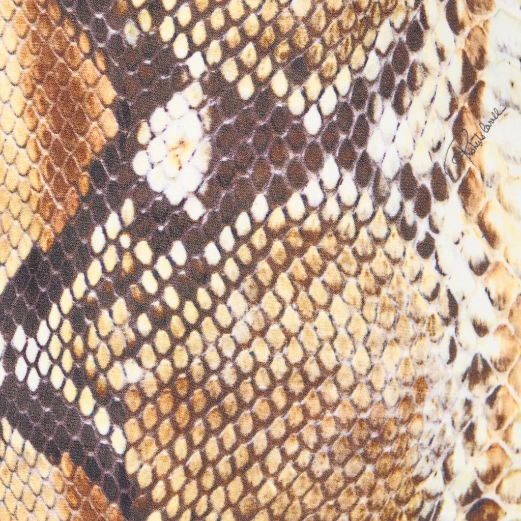 Roberto Cavalli Mini Skirt