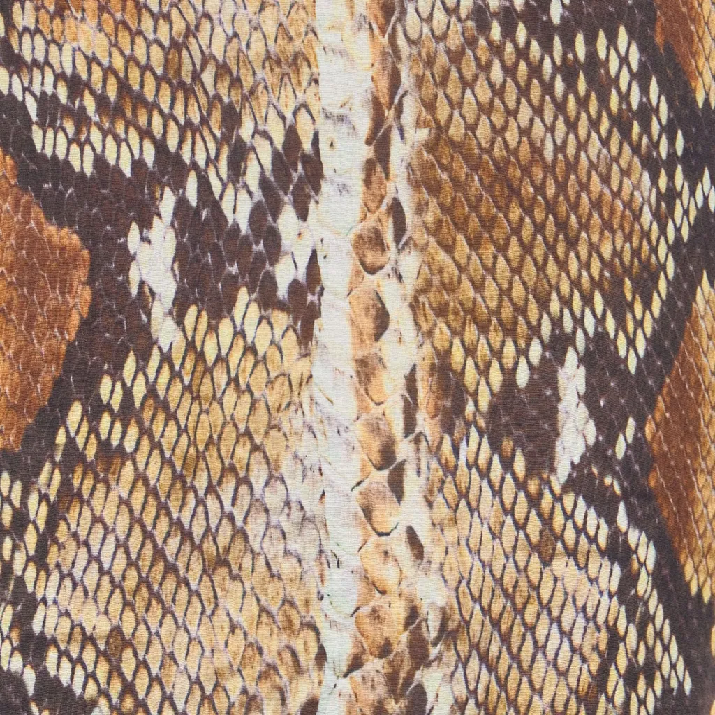 Roberto Cavalli Python Print Shirt Dress