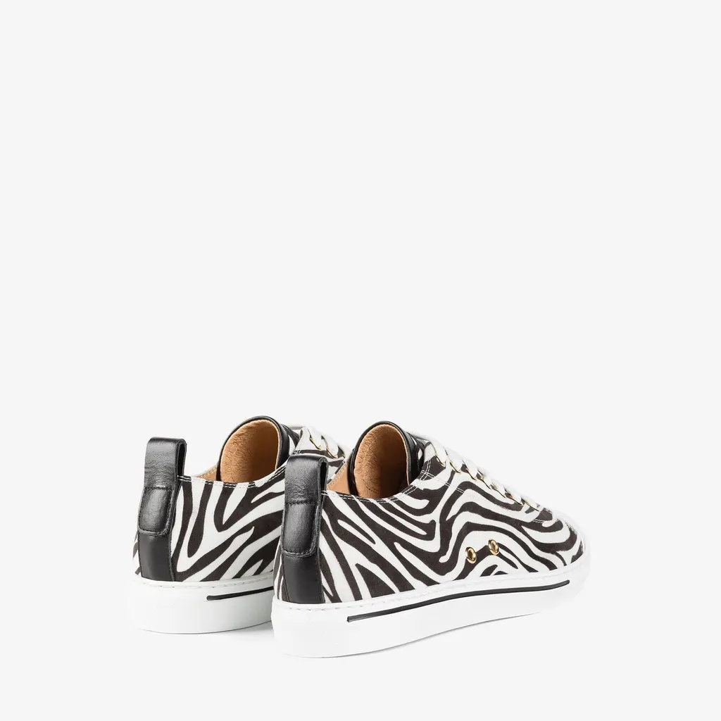 Roberto Cavalli Monogram Zebra-Print Sneakers