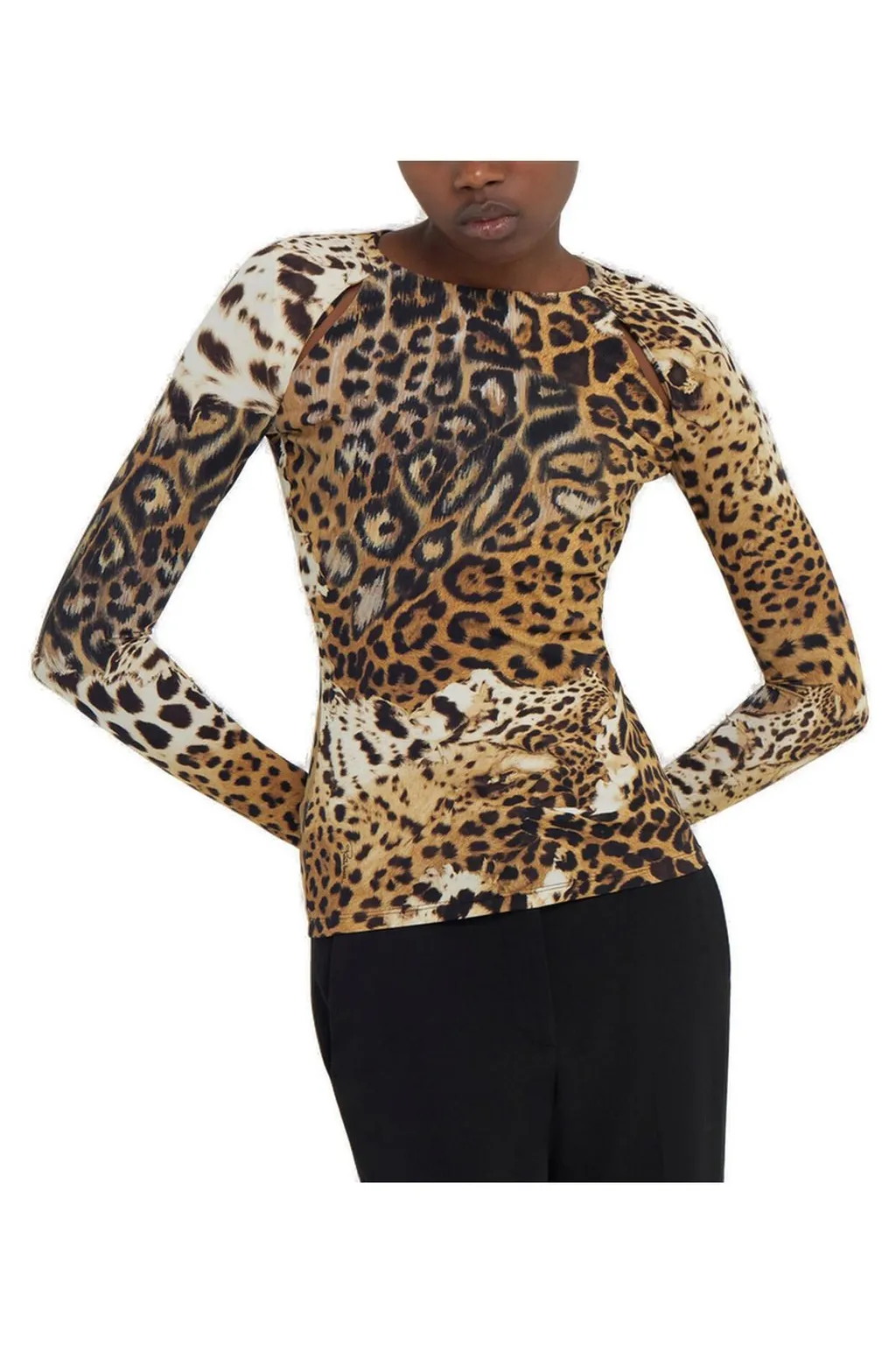 Roberto Cavalli Jaguar Skin Print Long-Sleeved T-Shirt