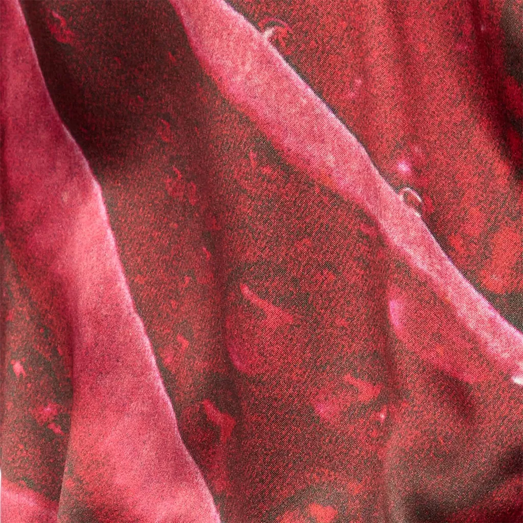Roberto Cavalli Garden Rose Printed Bodysuit Shirt