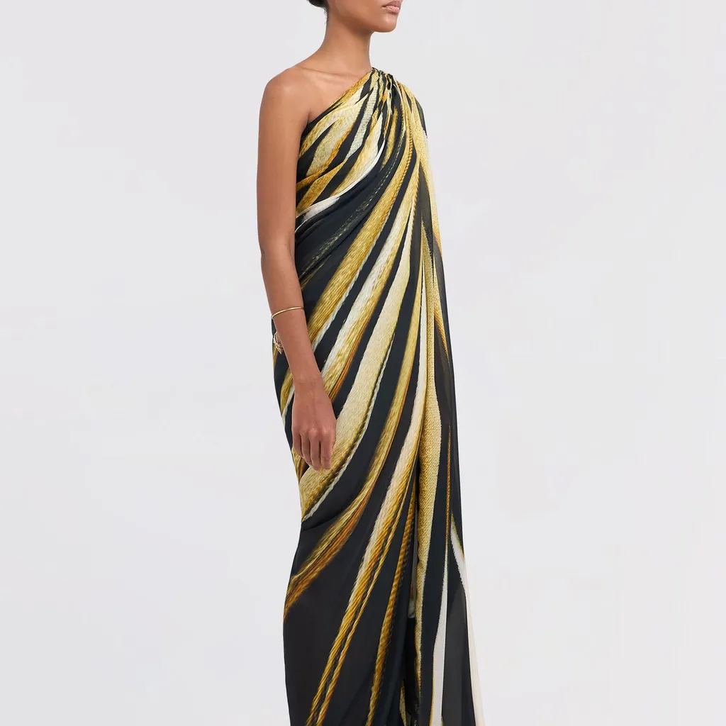 Roberto Cavalli Ray Of Gold Print Maxi Dress