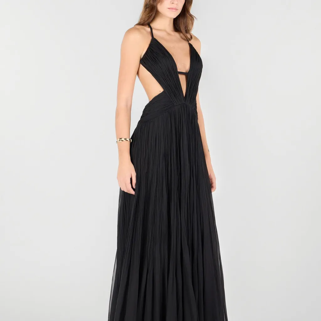 Roberto Cavalli Plunging V-Neck Draped Backless Maxi Dress