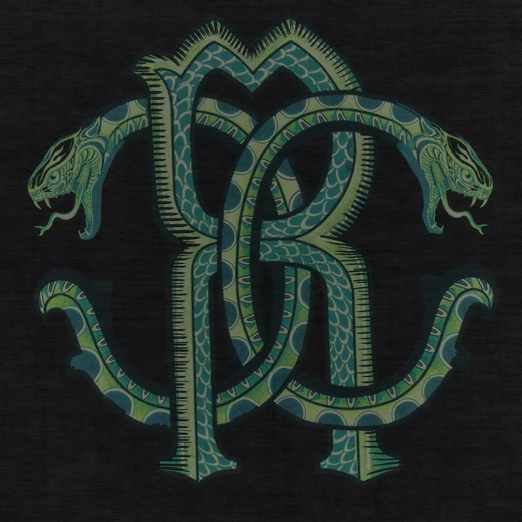 Roberto Cavalli Logo Printed Rectangular Scarf