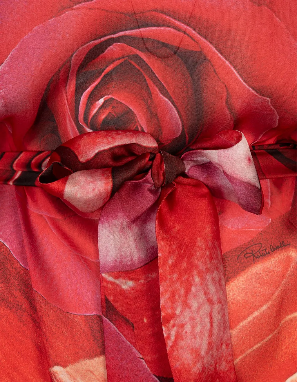 Roberto Cavalli Rose Print Long Dress