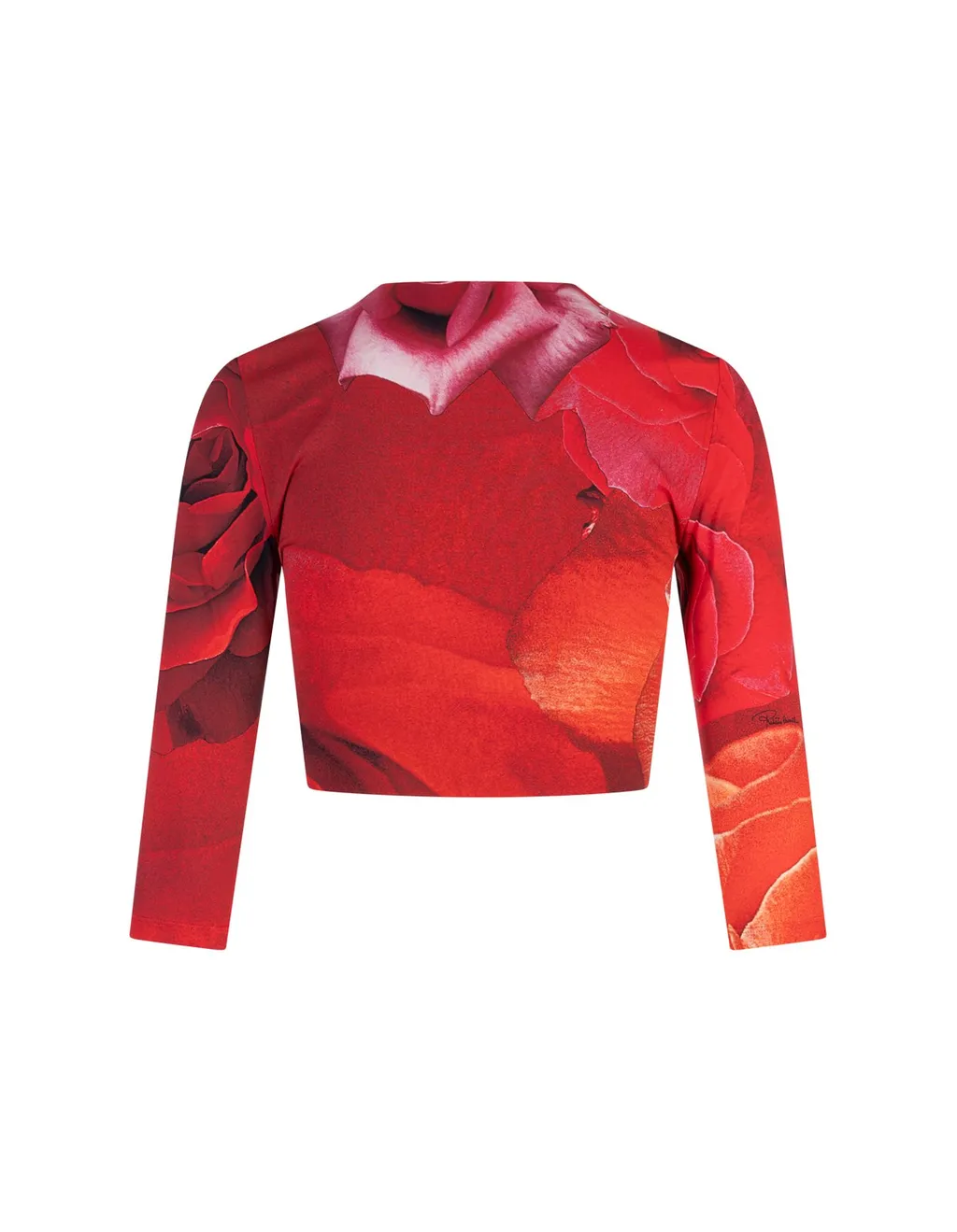 Roberto Cavalli Rose-Print Crop Top