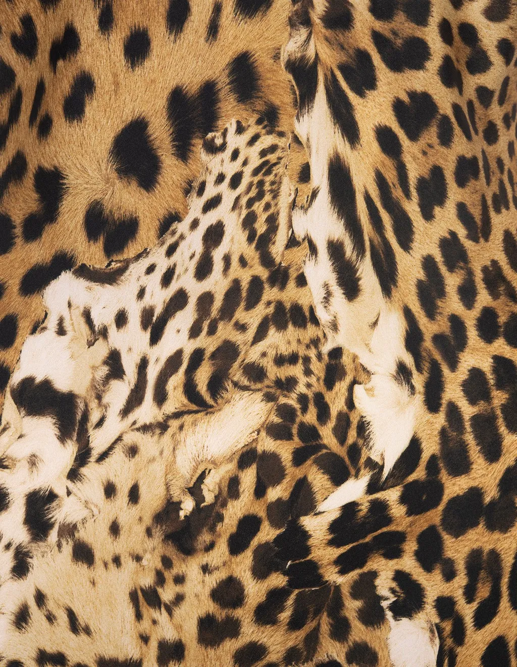 Roberto Cavalli Leopard Printed V-Neck Dress
