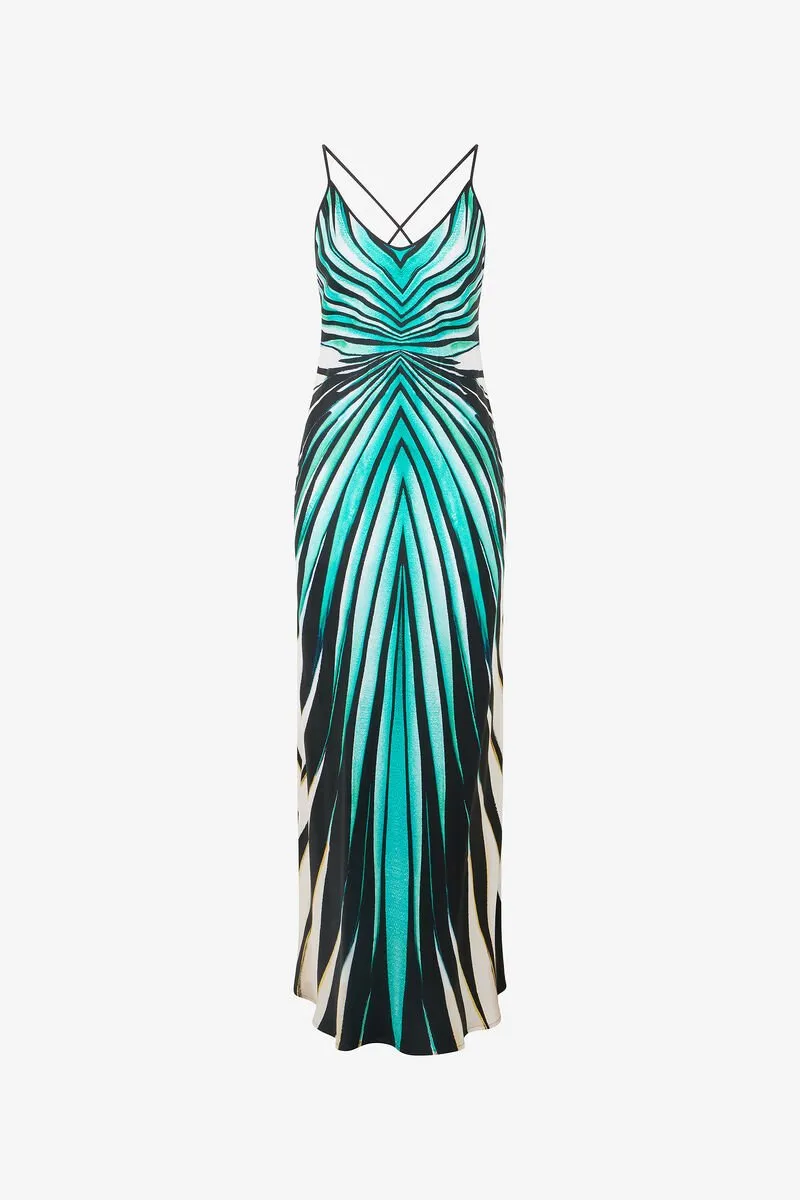 Roberto Cavalli Sea Print Silk Maxi Dress