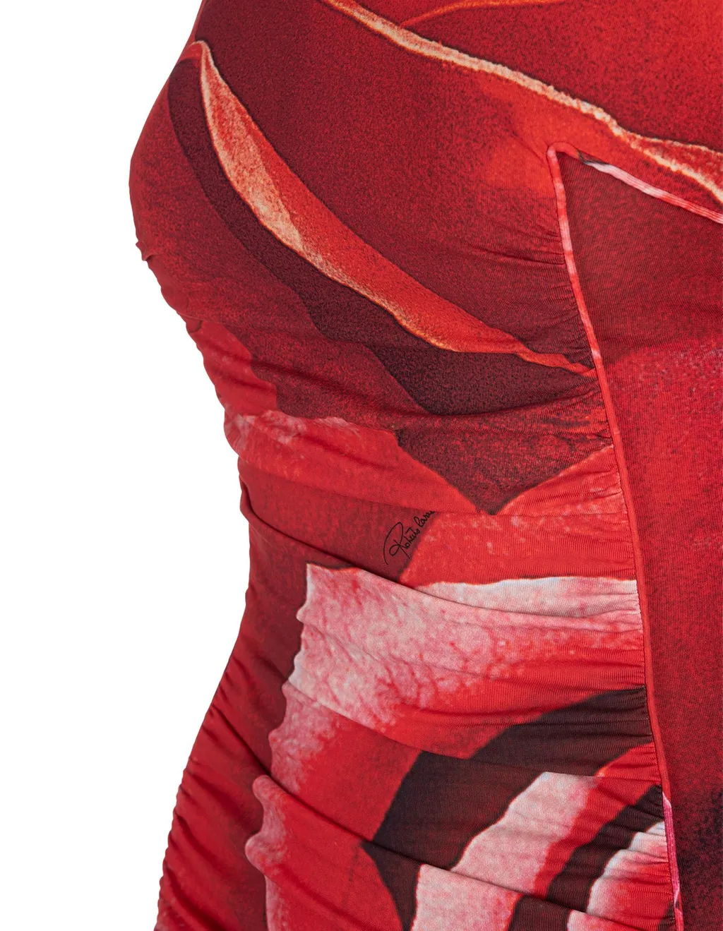 Roberto Cavalli Rose-Print Midi Dress