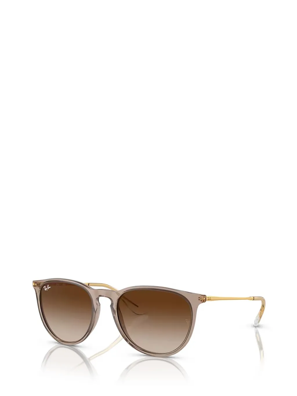 Ray-Ban Erika Round Frame Sunglasses