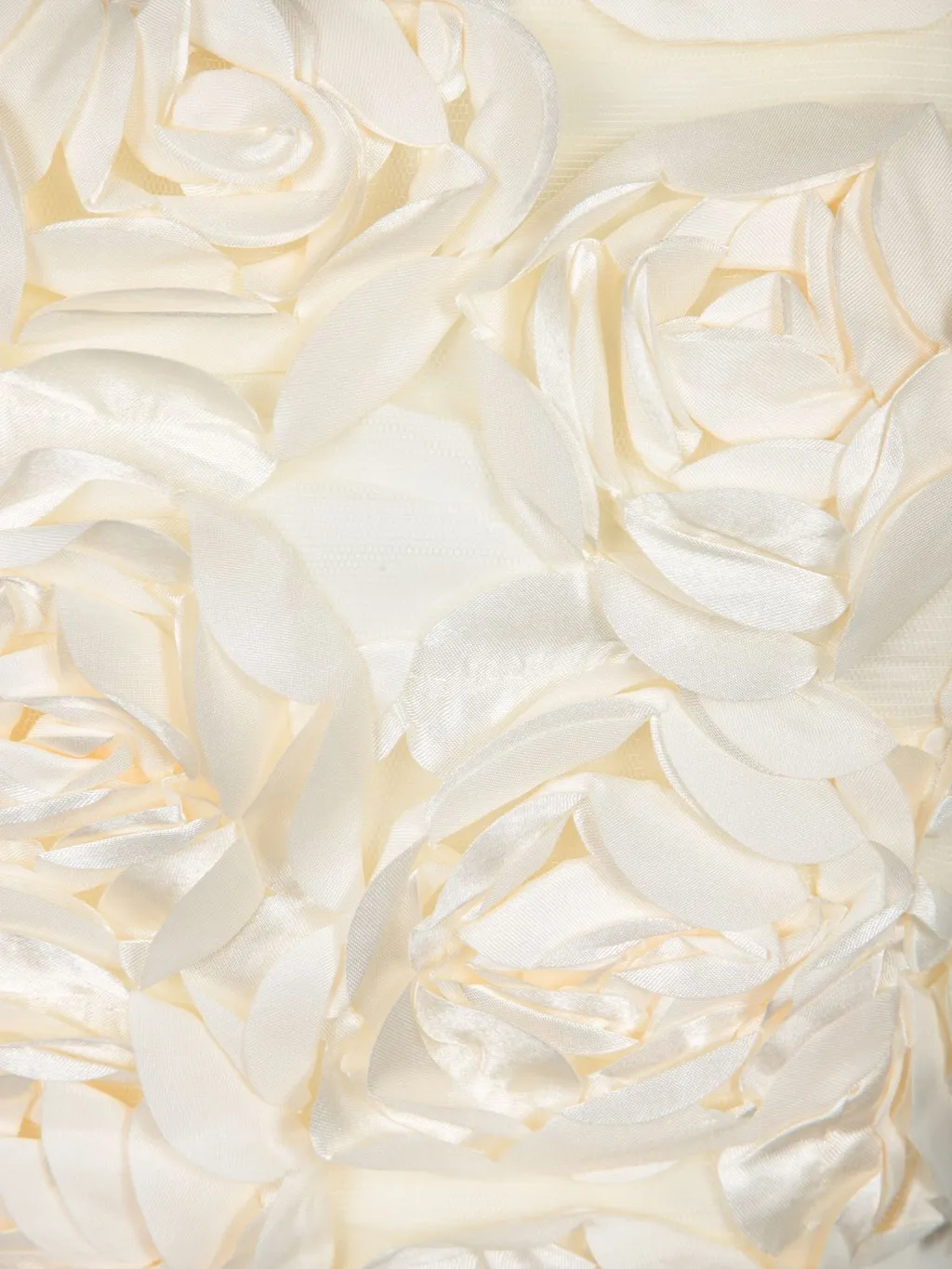 Rotate Embossed Rose Crop Top