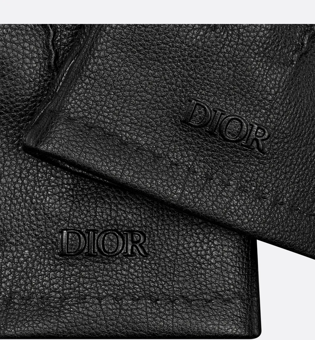 Dior Privé Gloves