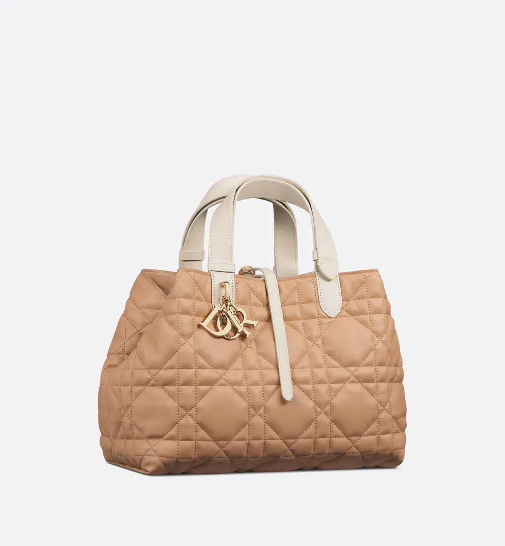 Medium Dior Toujours Bag