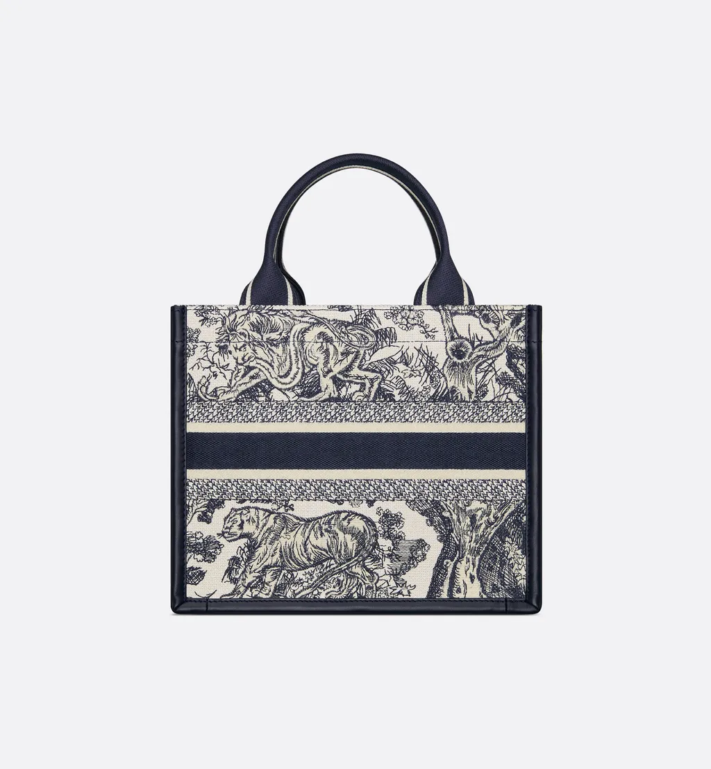 Small Dior Book Tote