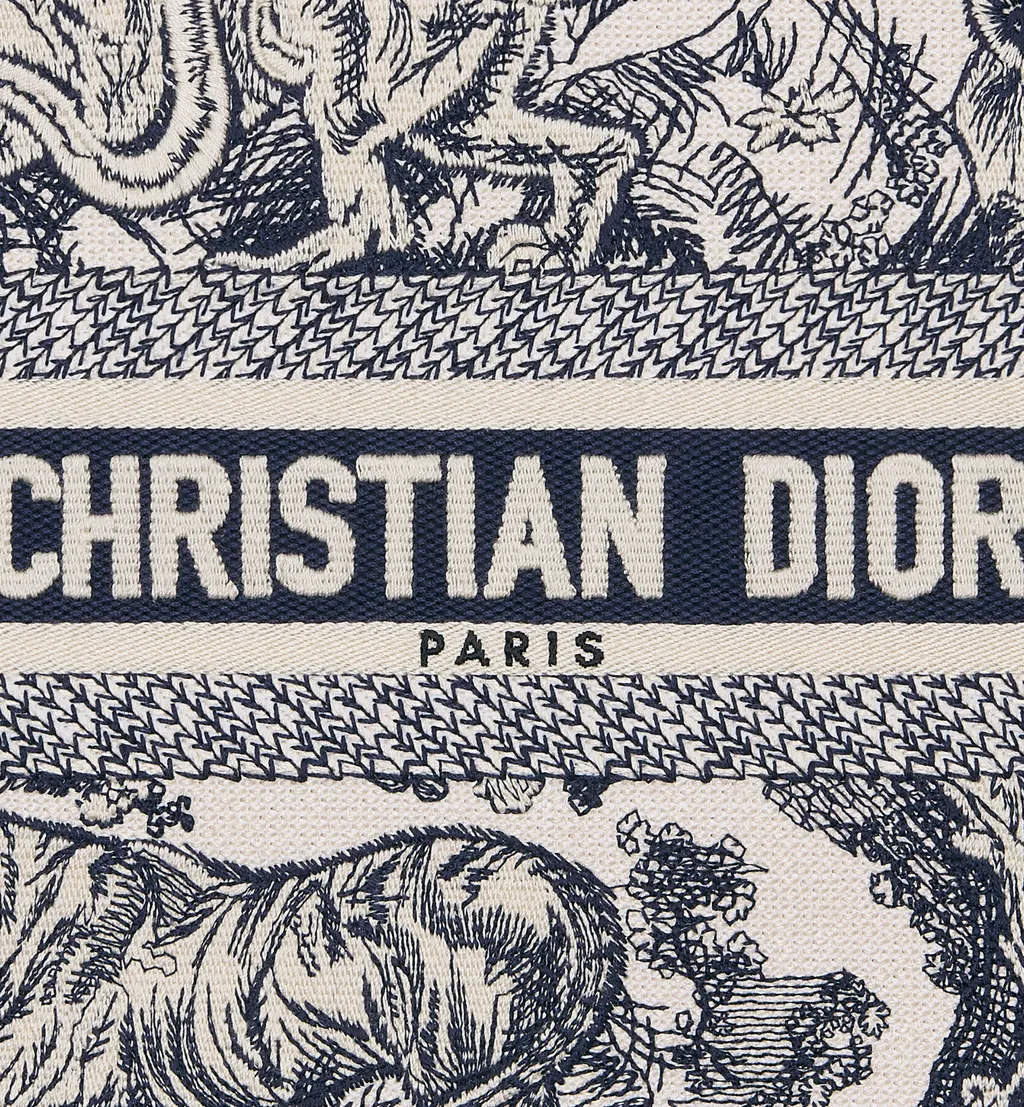 Small Dior Book Tote