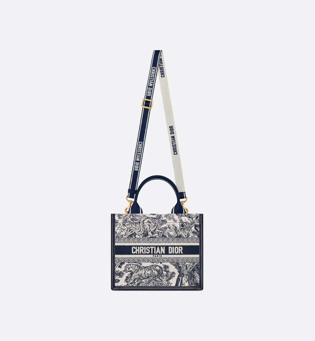 Small Dior Book Tote