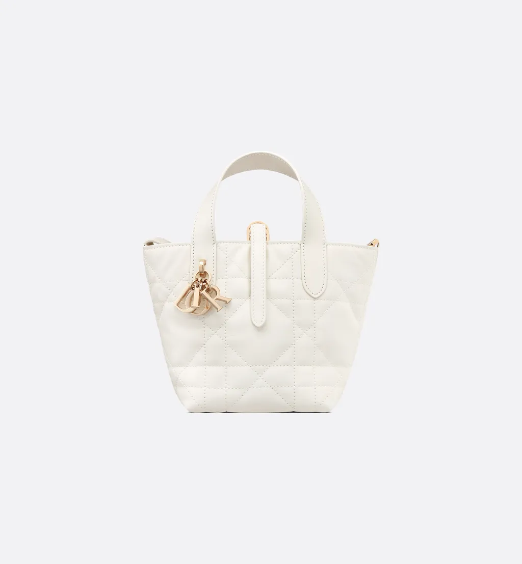 Dior Toujours Vertical Nano Tote Bag