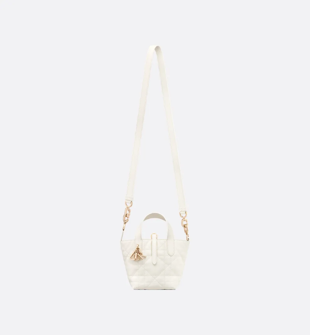 Dior Toujours Vertical Nano Tote Bag