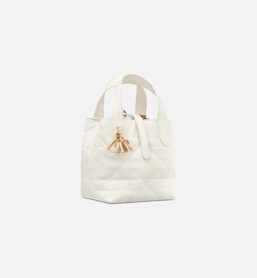 Dior Toujours Vertical Nano Tote Bag