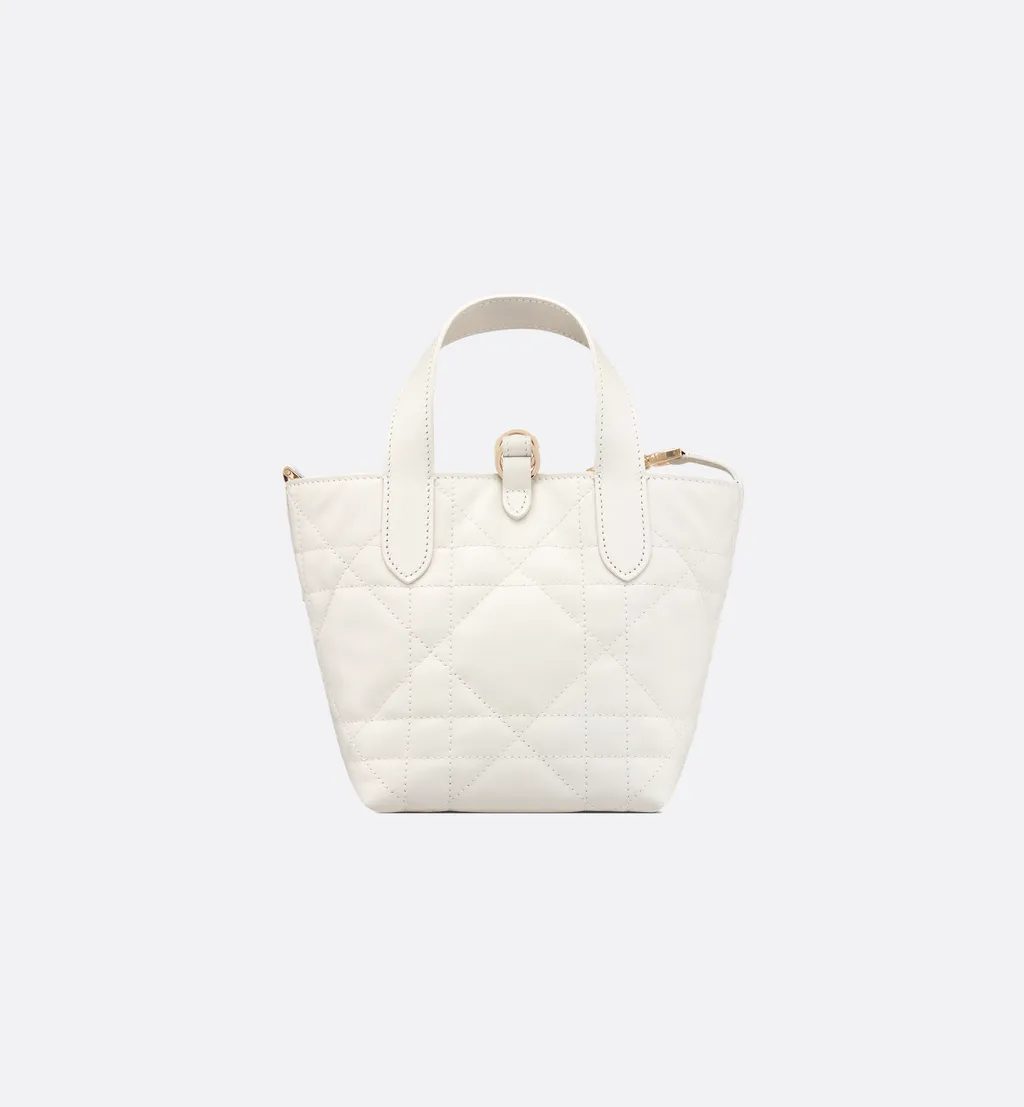 Dior Toujours Vertical Nano Tote Bag