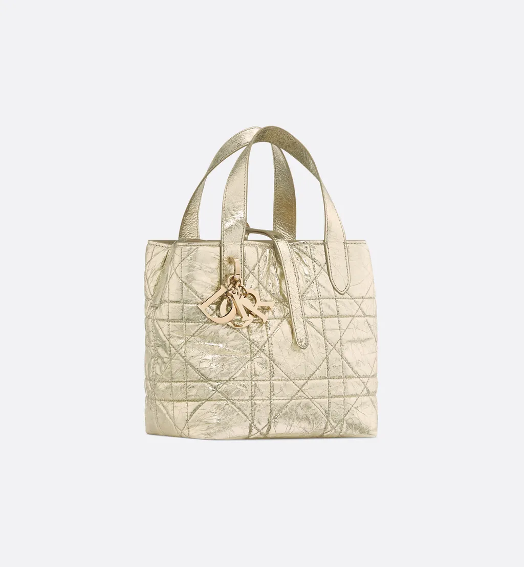 Small Dior Toujours Vertical Tote Bag