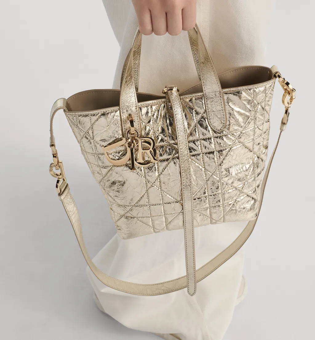 Small Dior Toujours Vertical Tote Bag