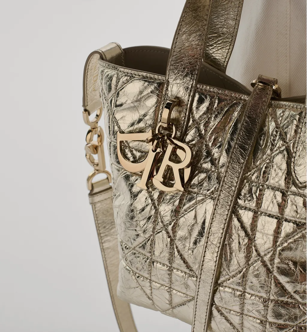 Small Dior Toujours Vertical Tote Bag