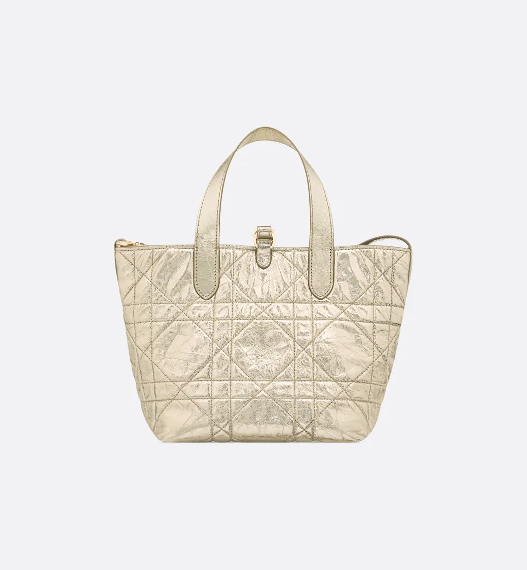 Small Dior Toujours Vertical Tote Bag