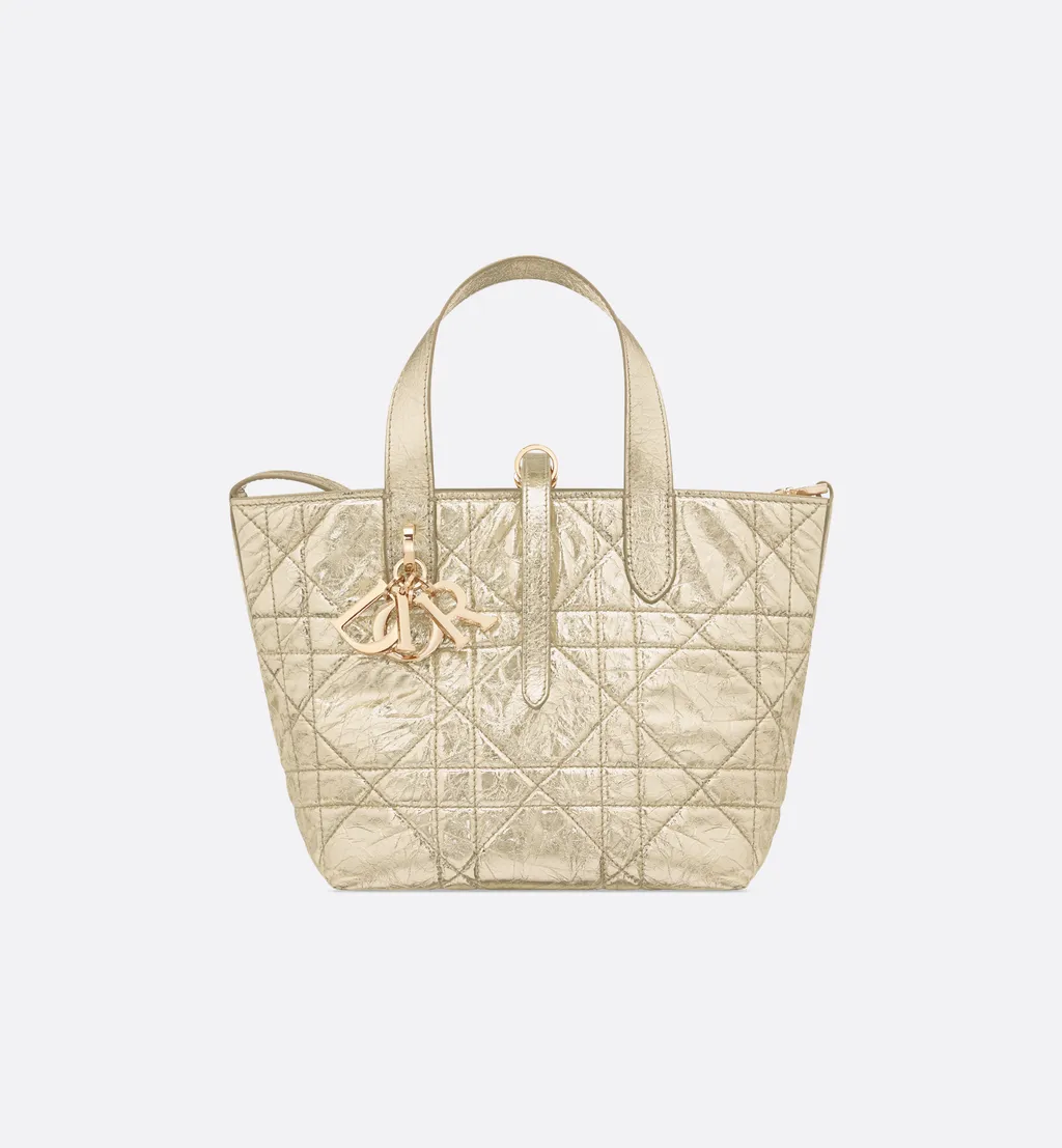 Small Dior Toujours Vertical Tote Bag