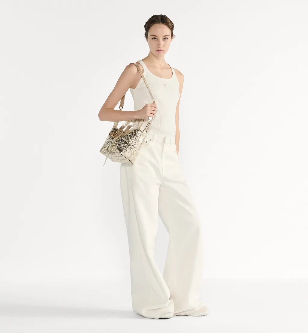 Small Dior Toujours Vertical Tote Bag