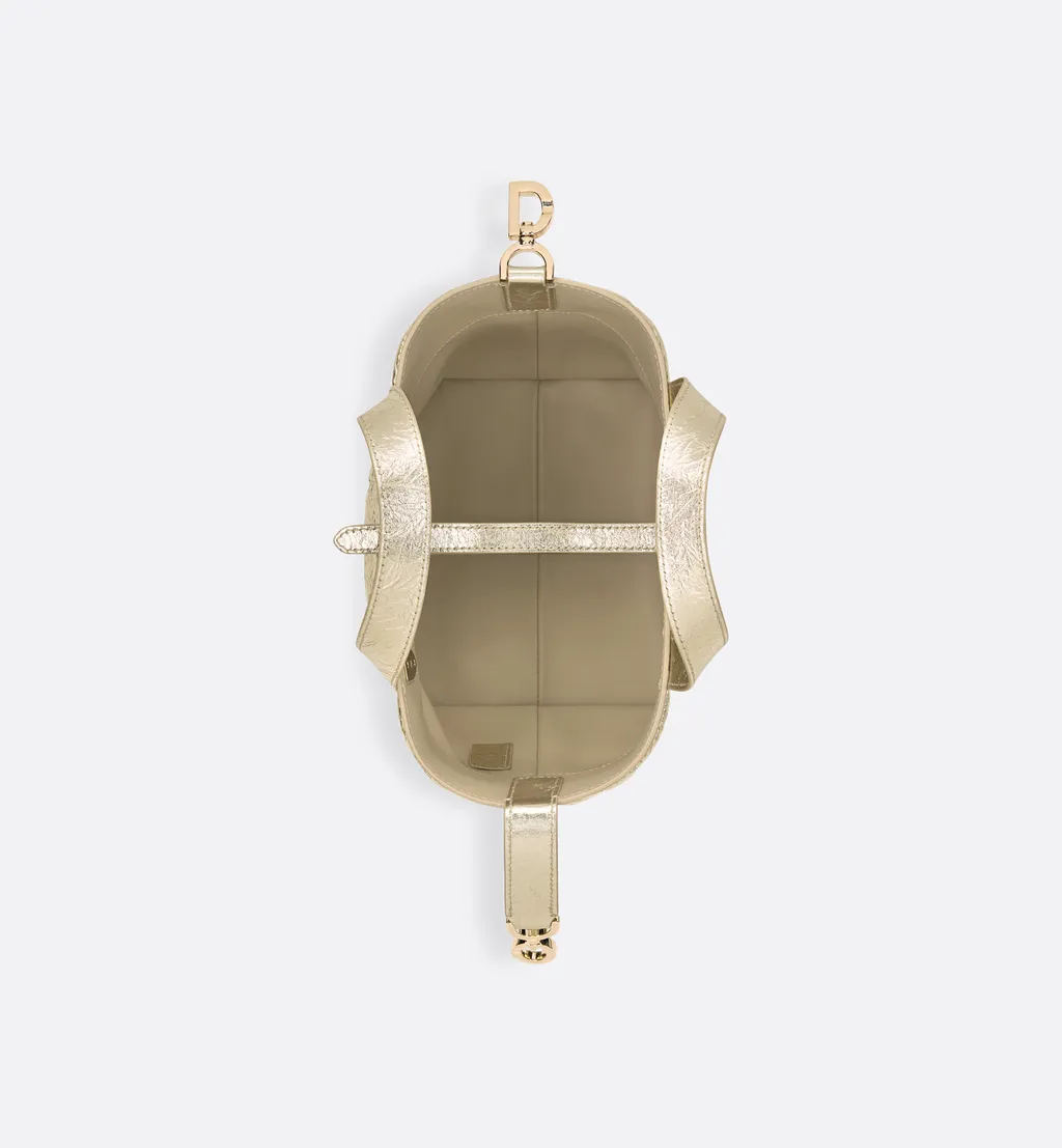 Small Dior Toujours Vertical Tote Bag